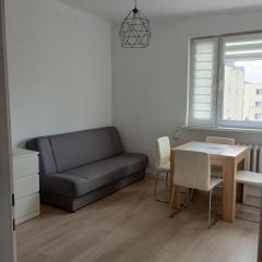 Apartament koło Zamku