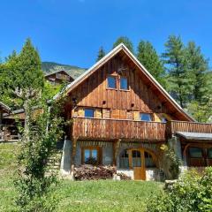 Chalet Savoyard vue panoramique