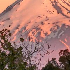 Cabaña, Coñico, Purranque