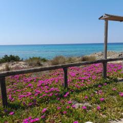 Home Salento 2