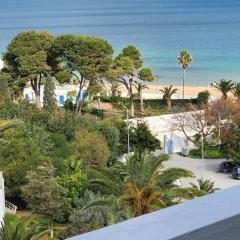 Le grand bleu appartement