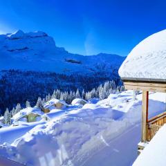 Superbe Duplex- Résidence Alpine