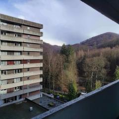 Ferienwohnung Harzverliebt