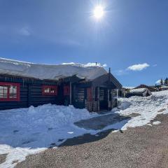 Cozy Home In Trysil With Wifi