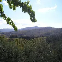 Un piccolo Paradiso nel Chianti più selvaggio
