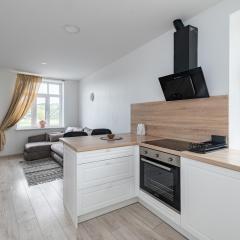 Serene Nemunas River View apartment near McDonald by Polo Apartments