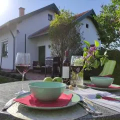 Szőlőhegyi házikó - Cottage in the vineyard