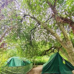 Le camp du bivouaqueur