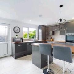 Woods view, central thornaby