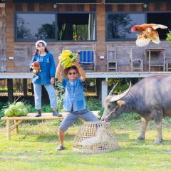 Hang Tueng farm stay Chiang Mai แฮงตึง ฟาร์มสเตย์ เชียงใหม่