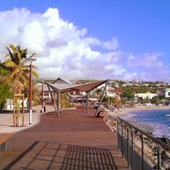 Appt Acacia St Gilles centre et plage
