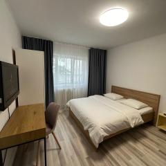 Lions Studio Dristor RIII