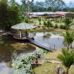 Tropicals Resort