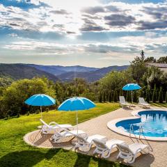 Istrian villa with four bedrooms, three bathrooms, private pool, table tennis, free Wi-Fi and parking, view of beautiful nature