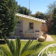 Cosy Garden Studio