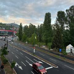 1 bedroom apartment in downtown