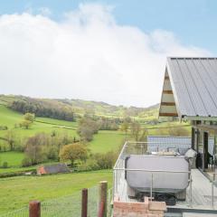Barcud Coch - Red Kite
