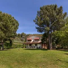 El Bosque de la Herrezuela