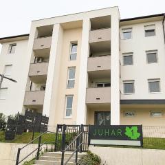 Juhar 1 Apartman