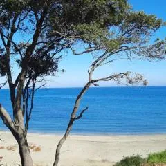 T3 vue mer direct plage clim N79