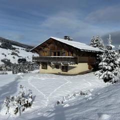 Chalet familial sur les pistes