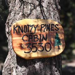 Camp Knotty Pines