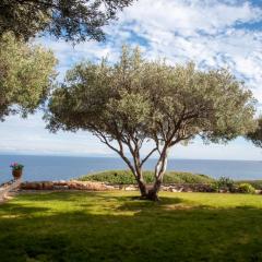 Big Blue Sea House, Nea Potidea, Halkidiki