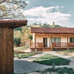 Transylvania Forest Haven-Luxury Cabin