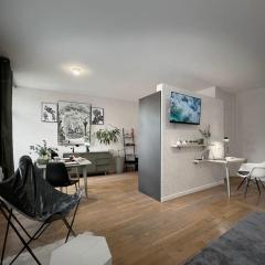 Grand studio confortable situé en centre ville