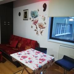 apartament central