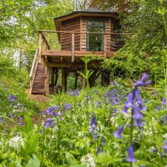 Unique Secluded Romantic Treehouse in Cornwall, sleeps 2