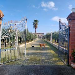 Villa Giona Roma