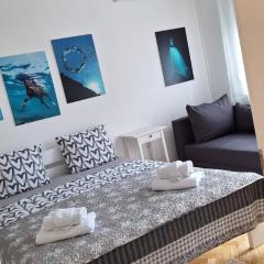 Aurora with the view