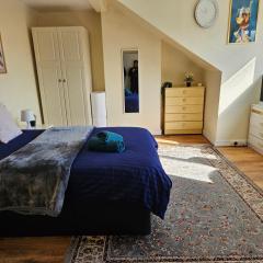 Homely double bed, TV, Wi-Fi and garden