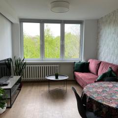 Apartament Skośna 10