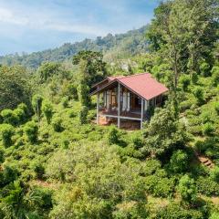 Tea Forest Eco Lodge