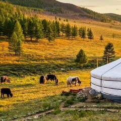 Dream Adventure Mongolia