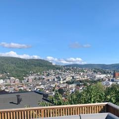 PanoramaView Modern Suite - Drammen