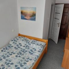 Pokoje Gościnne Viking