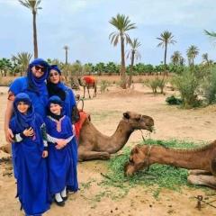 Marrakech Quad & Buggy