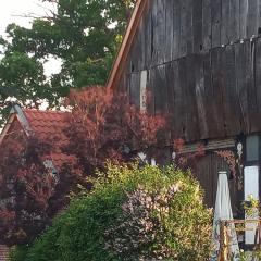 Wohlfühlwohnung im Grünen auf Pferdehof