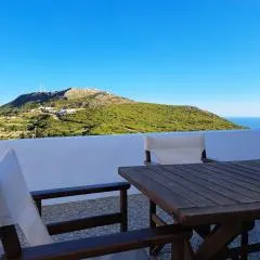 Sophie's Pourko House