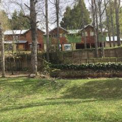 Cabaña rodeada de bosque nativo 12pax - AlquilMiCasa