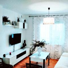 3 bedrooms house with city view enclosed garden and wifi at Almagro