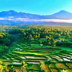 Ariel Bungalow Tetebatu