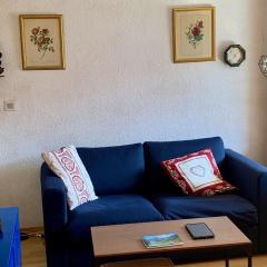 Appartement 2 Pièces à Châtel - 4 Pers, Terrasse, 500m des Remontées, Parking, Connexion Internet - FR-1-676-61