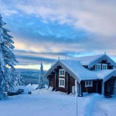 Newer lovely cabin in Birkebeinerbakken Sjusjøen