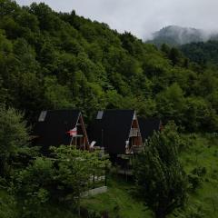 The overlook cottage 2