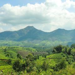 Munnar Valley View Annex