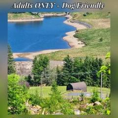 Forester's Retreat Glamping - Dinas View- Vaccinated Dogs over the age of 2 are permitted